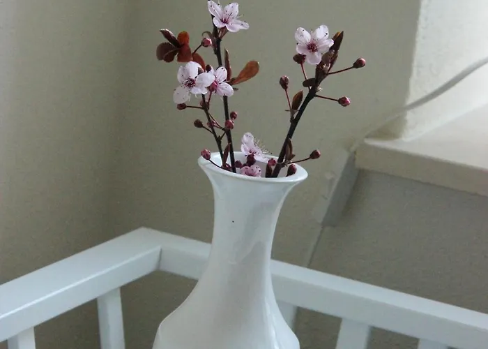 An Der Elbe دريسدن