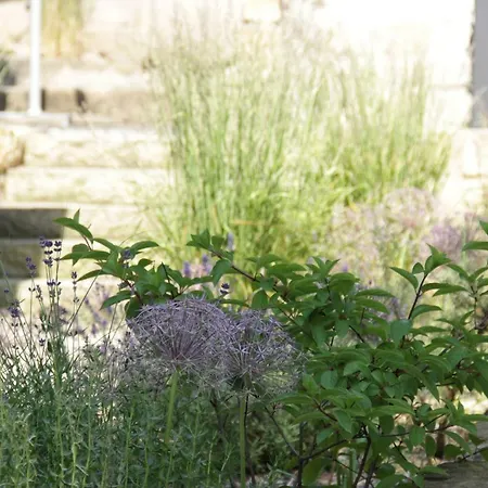 Appartement An Der Elbe *